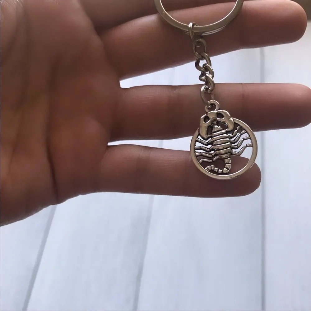 Zodiac Scorpio ♏️ metal key chain holder